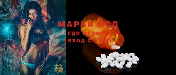 эйфоретик Алзамай