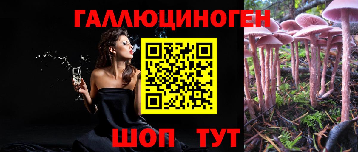 Псилоцибиновые грибы прущие грибы Обнинск